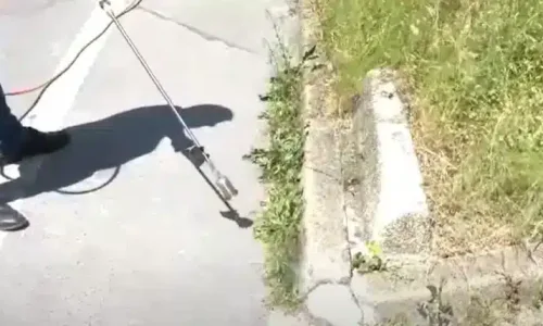 weedkiller